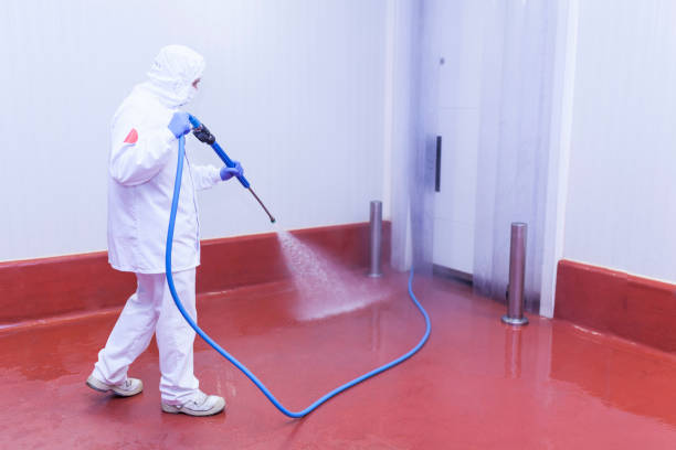 Best Roof Cleaning and Mildew Removal in Pine City, MN