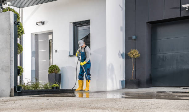 Best Driveway Cleaning and Restoration in Pine City, MN